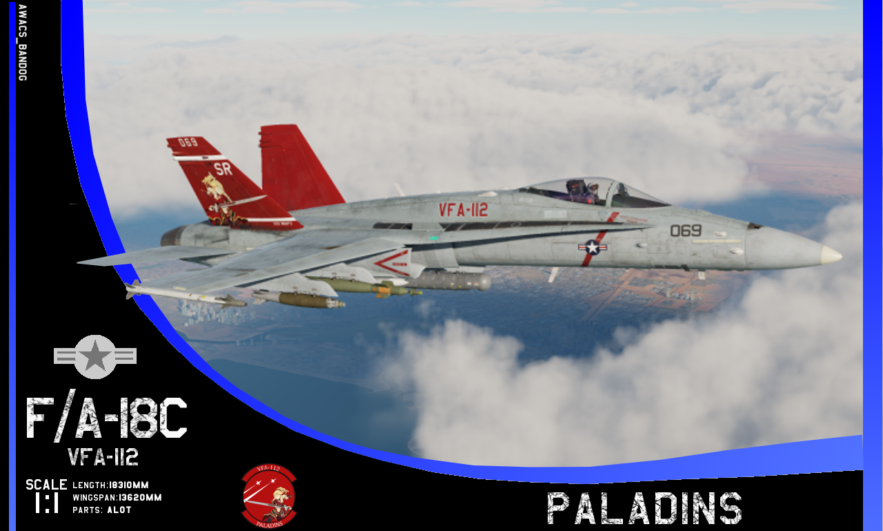 VFA-112 'Paladins' F/A-18C (Fictional)