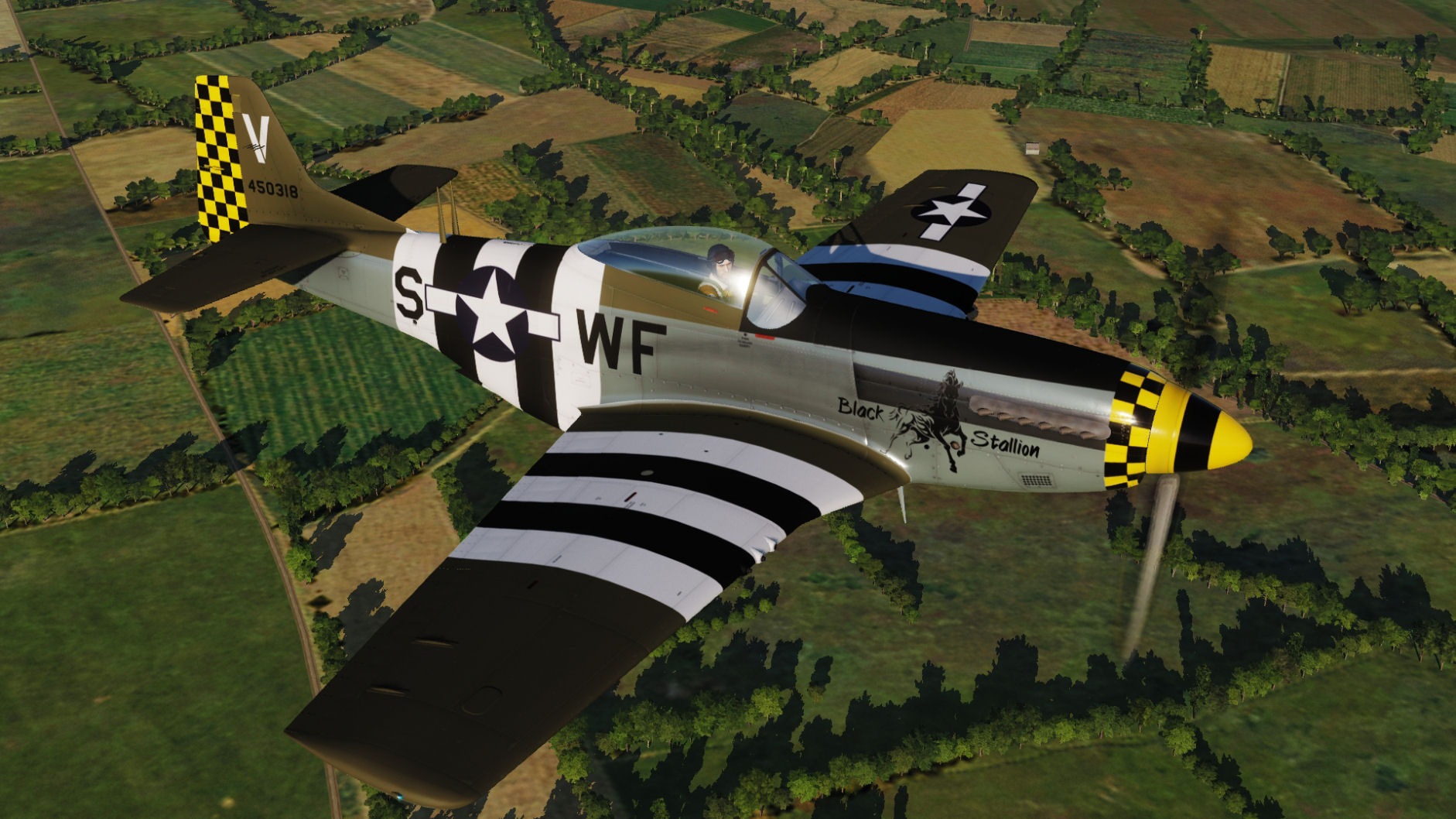 USAF - "Black Stallion" WF-S 44-50318