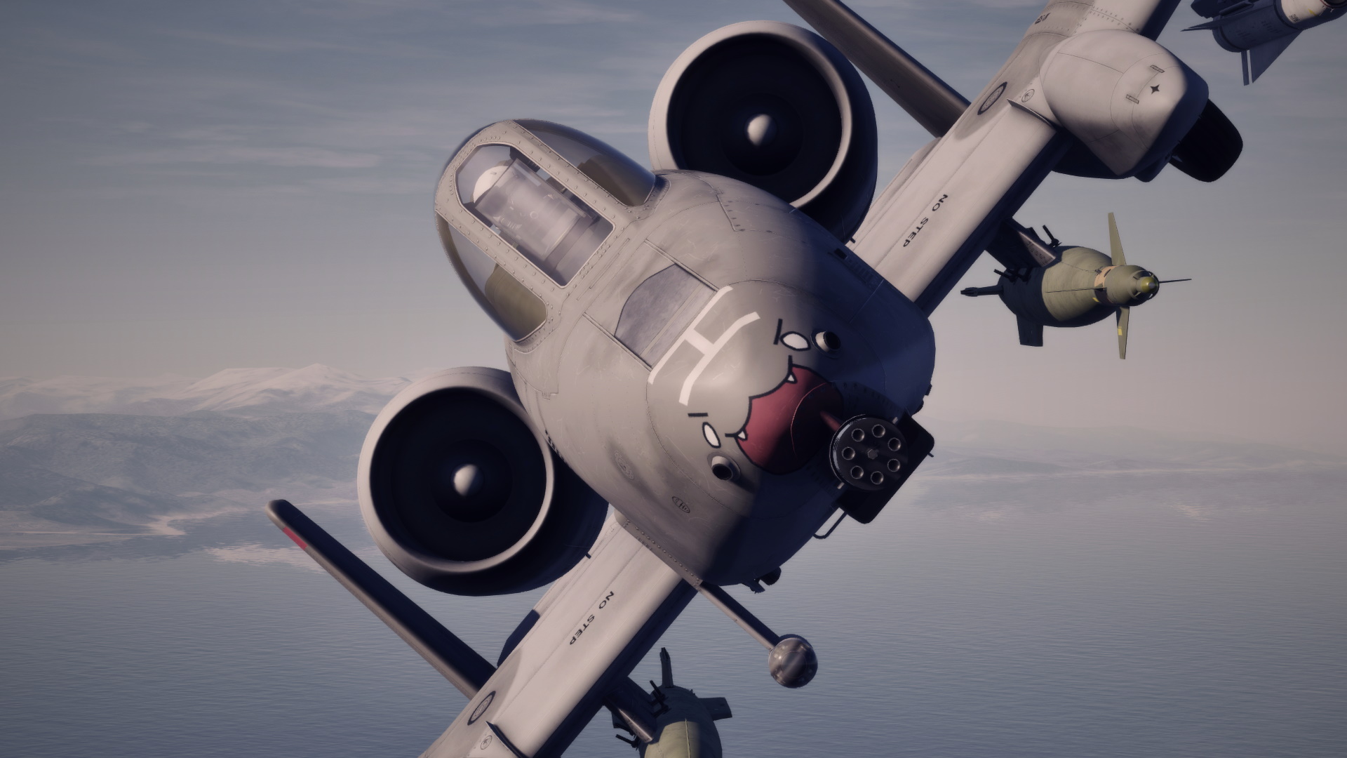 A-10CII - Yuktonyabanian Nyattack Nyattachment - ACE COMBAT