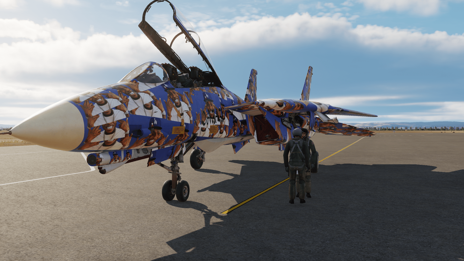 "Lesss gooooo" DaBaby Camo/Livery for f-14b