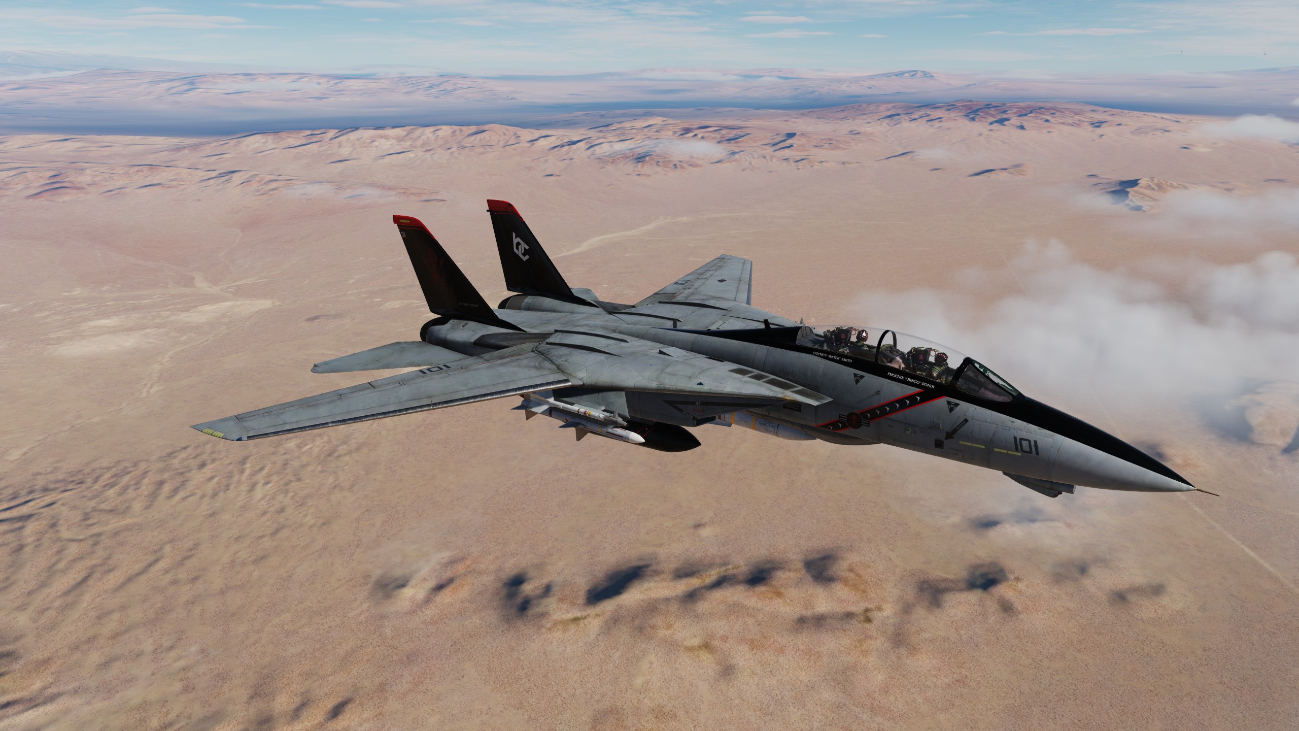 Boring Corp F-14B Skin