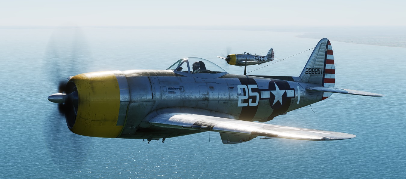 P-47D - 41st FS 35th FG, 7th AF (1945) generic