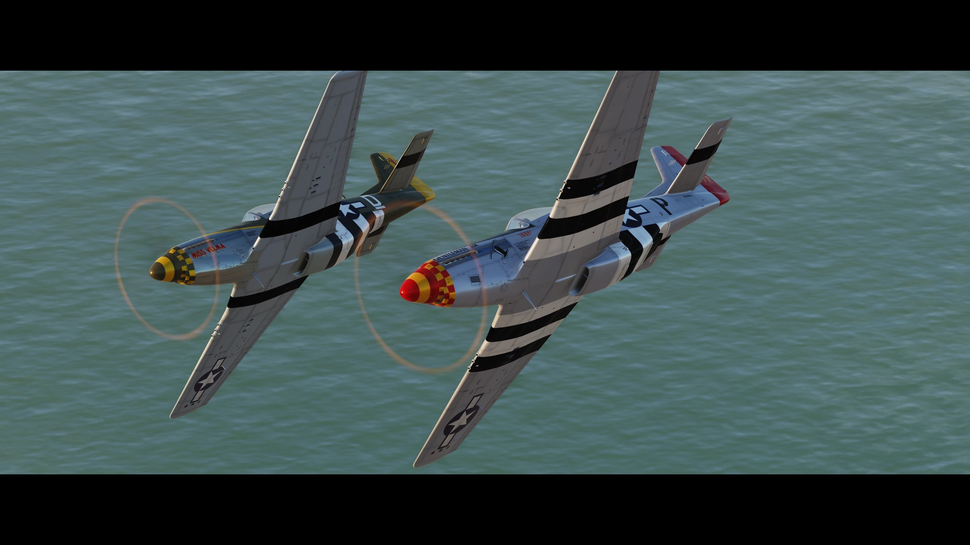 Flying with Falcons..