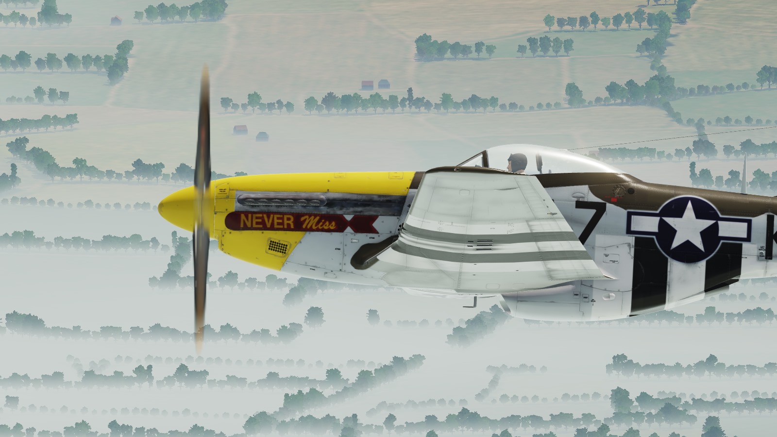 P-51D Mustang 44-73275  "Never Miss"