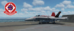 USN "VFA-102 Diamondbacks" CAG