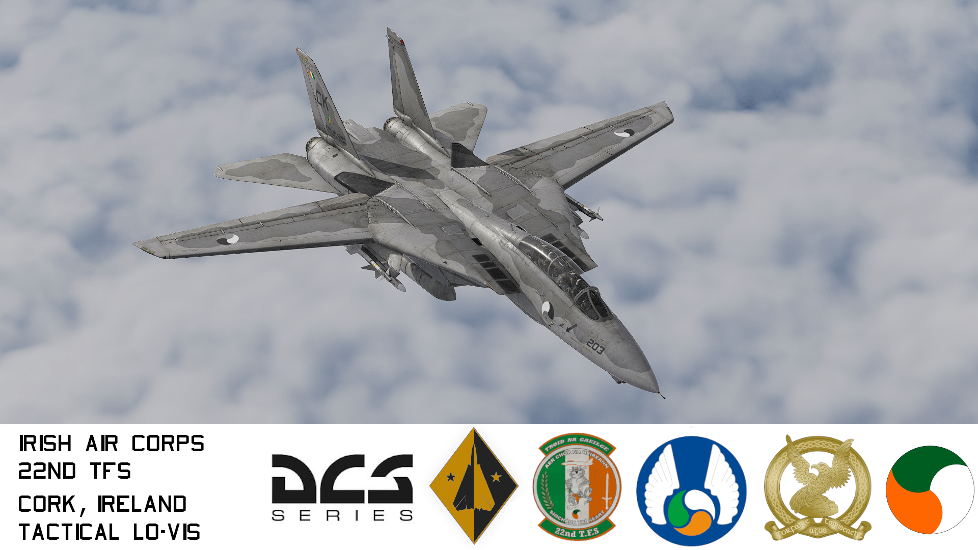 Irish Air Corps 22nd T.F.S "Fighting Irish" F-14 Tomcat