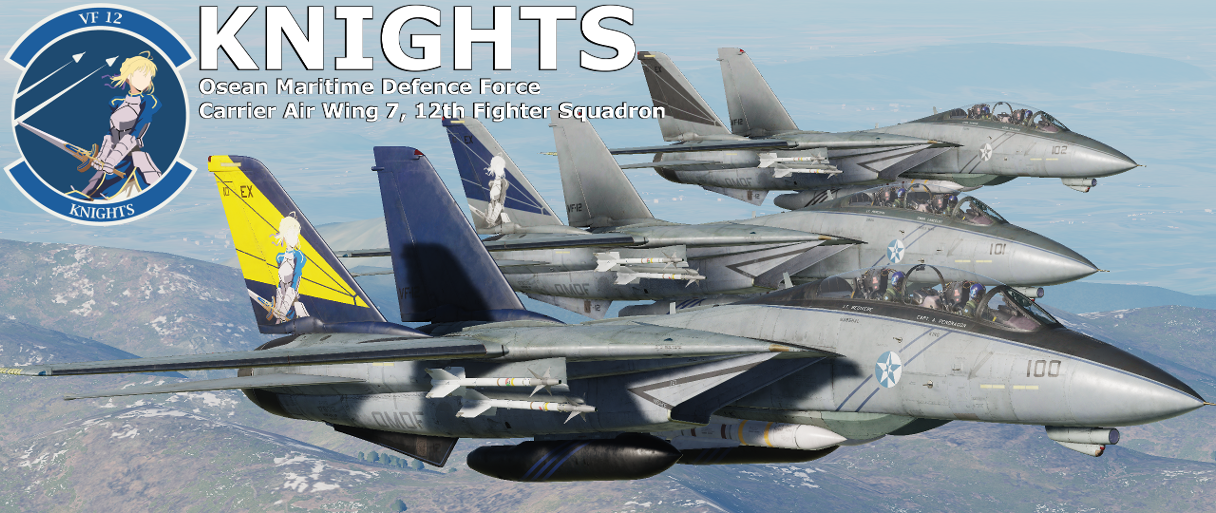 Ace Combat - VF-12 'Knights' Skin Pack [2022 Remaster]