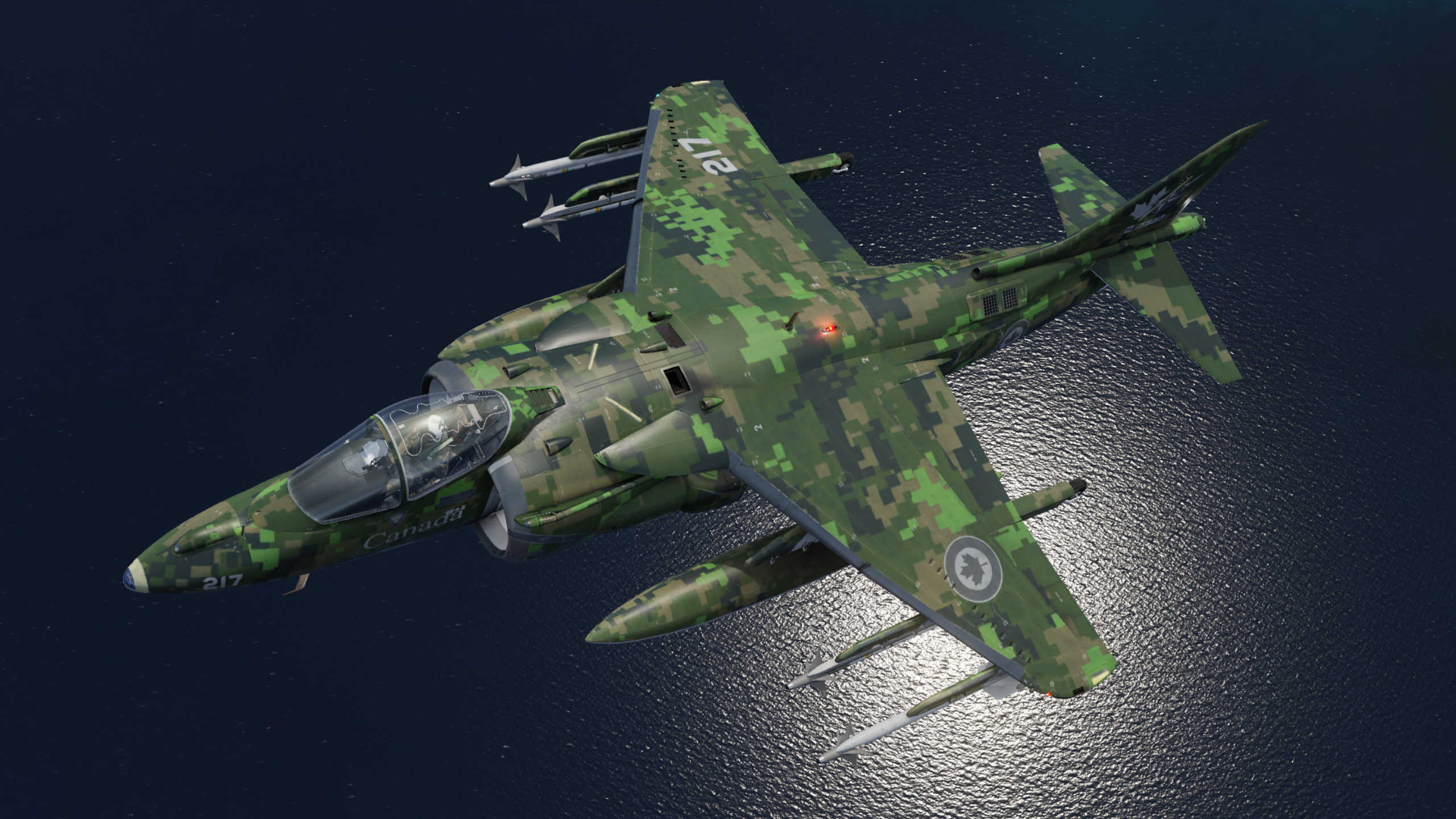 NFTC Harrier_CadPat