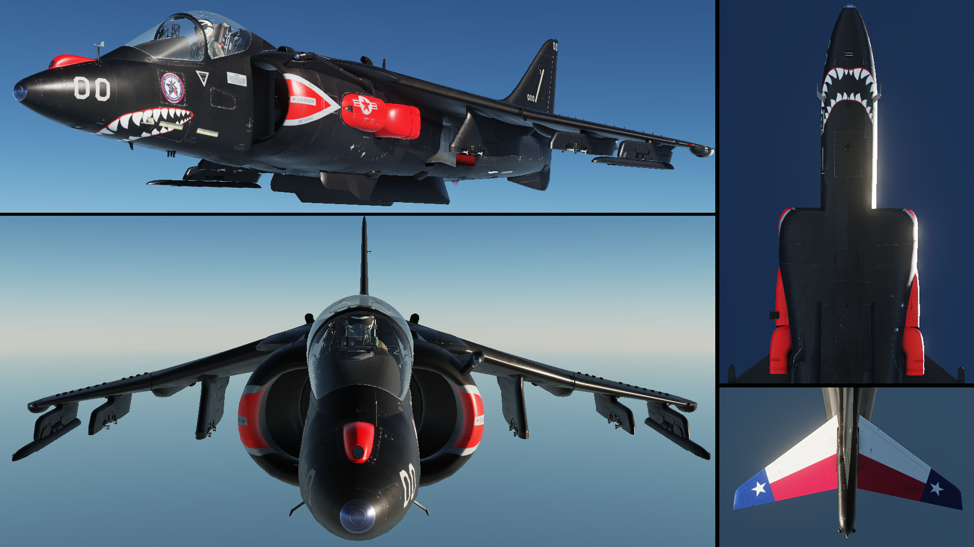 149th Virtual Fighter Wing AV-8B TEXAS BLACK Livery