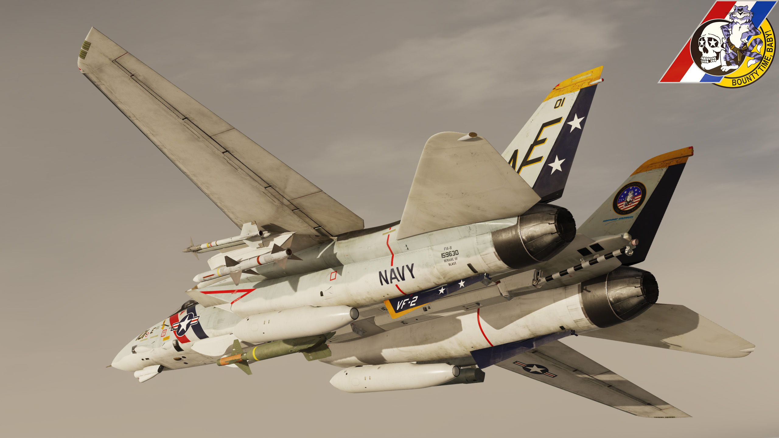 F-14B VF-2 25th Anniversary (1996)