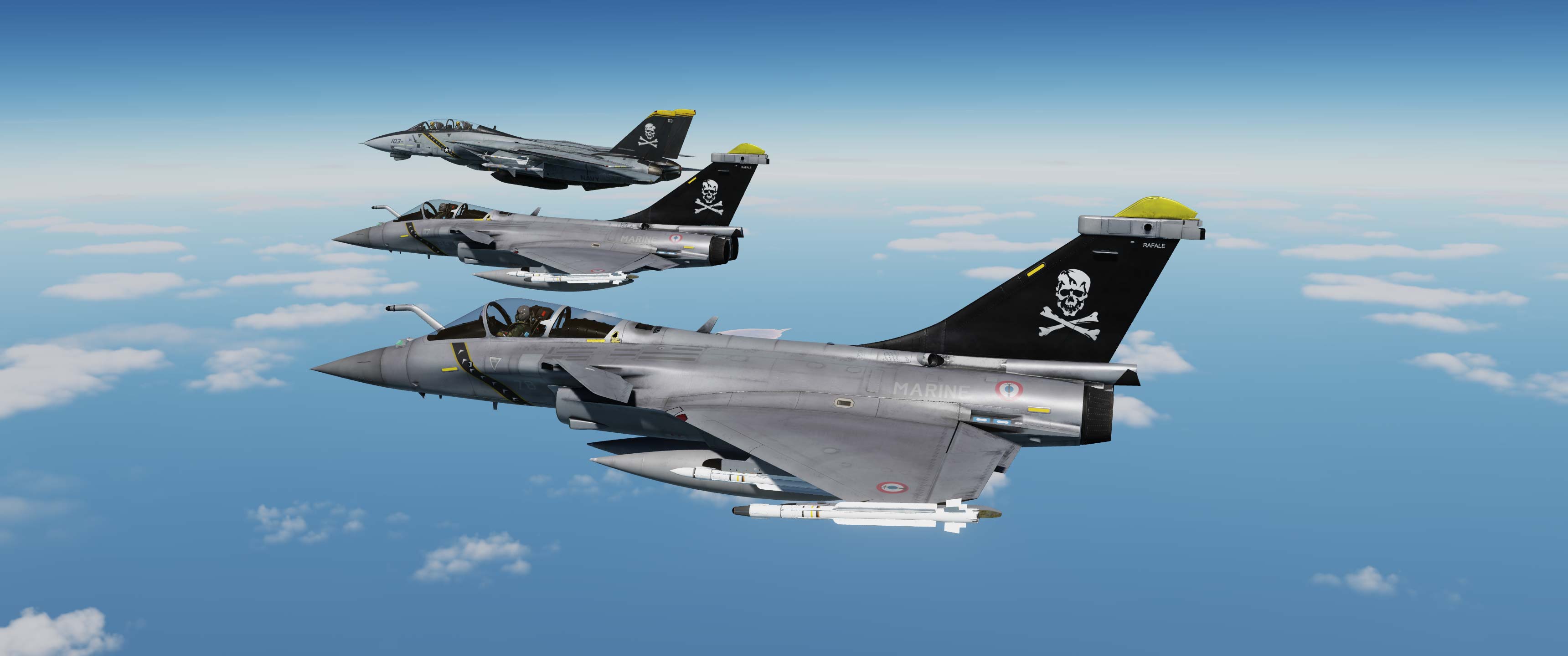 Skin RAF team SPLIT AIR -  Rafale Jolly Rogers v2.1