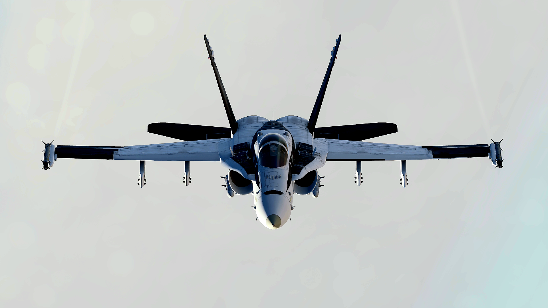 F/A-18C Lot 20 White & Black Yor Forger (Spy Family) Livery