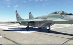 МиГ-29С с ликами святых