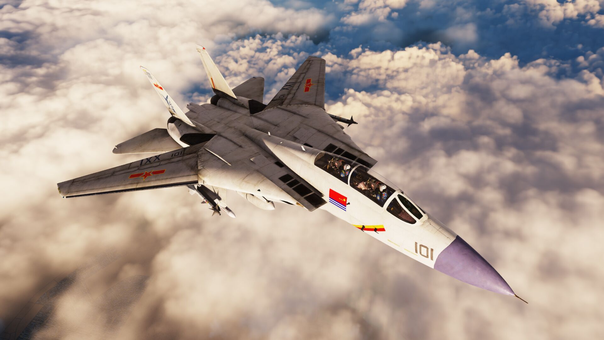 F-14B的飞鲨涂装（Flying shark painting of F-14B）