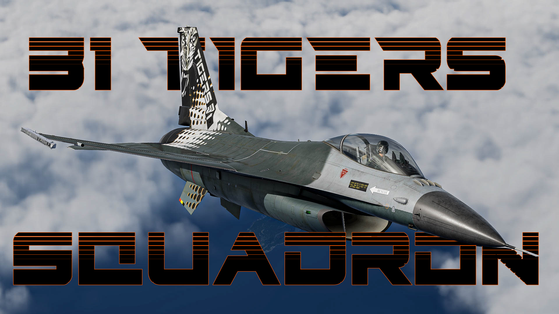 BAF 31 TIGERS SQUADRON by Sphimx