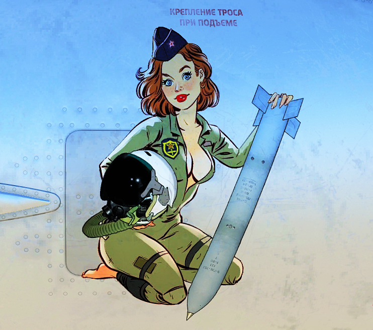 MiG-21Bis standard "VVS - Metal" liveries with fictional nose arts