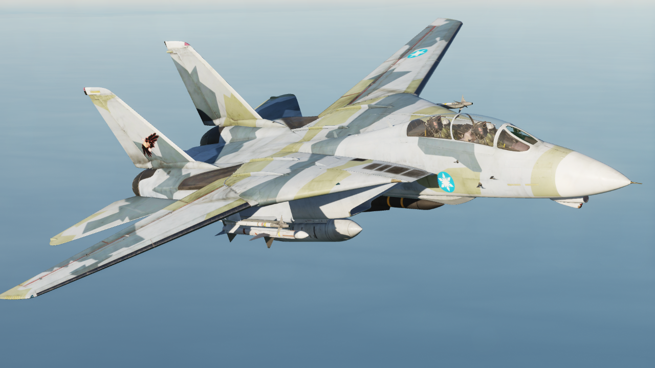 F-14 Tomcat -Gryphus 1- | Ace Combat X