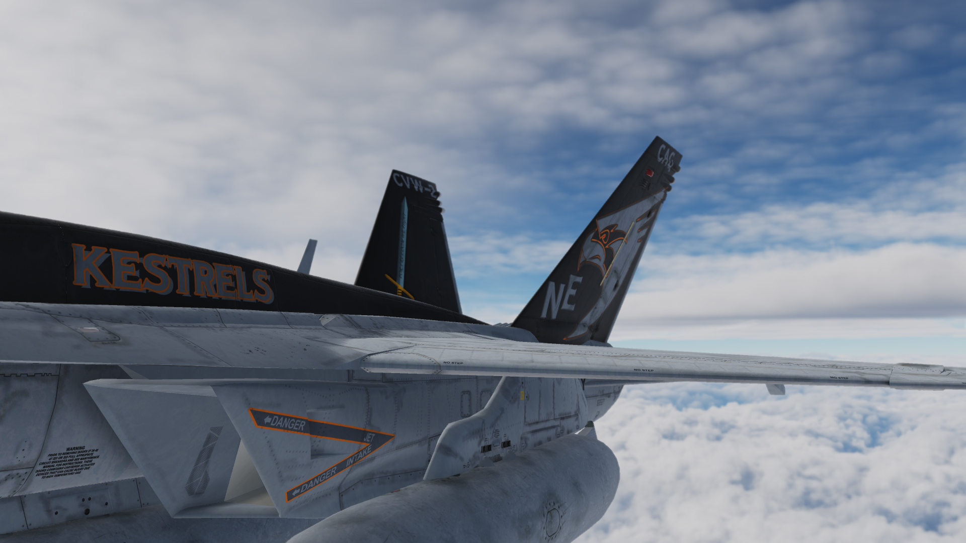 VFA-137 (Kestrels) skin for Superbug F-18E mod (v2.1)