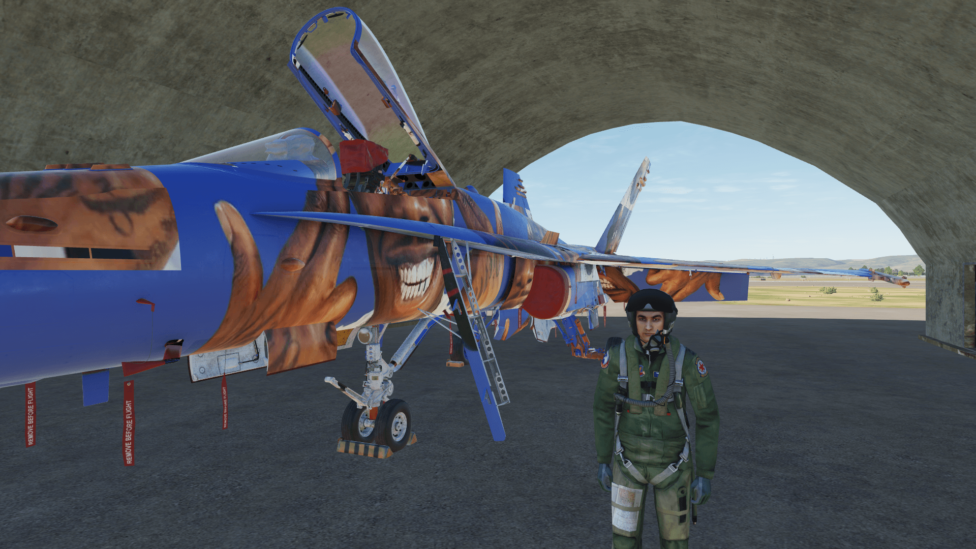 "Lesss gooooo" DaBaby Camo/Livery for f-18c 