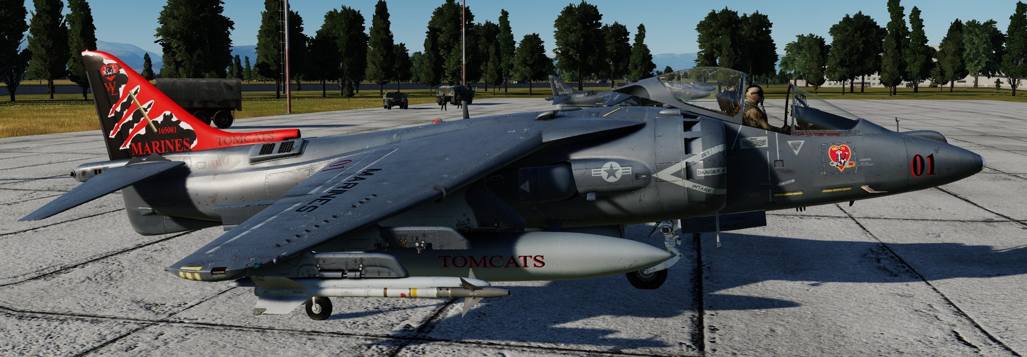 AV-8B VMA-311 CO's Jet