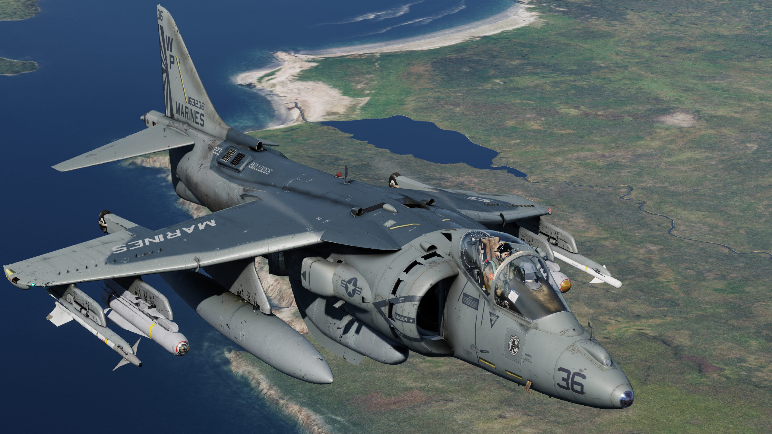 VMA-223 'Bulldogs' Day Camo