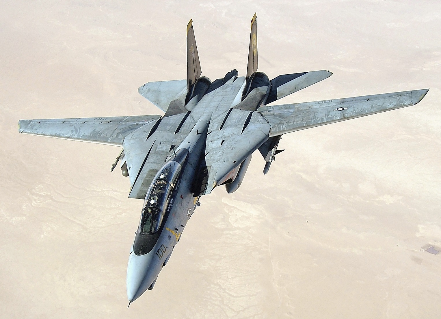 Fictional F 14 INDIAN AIRFORCE SKIN (standard grey)