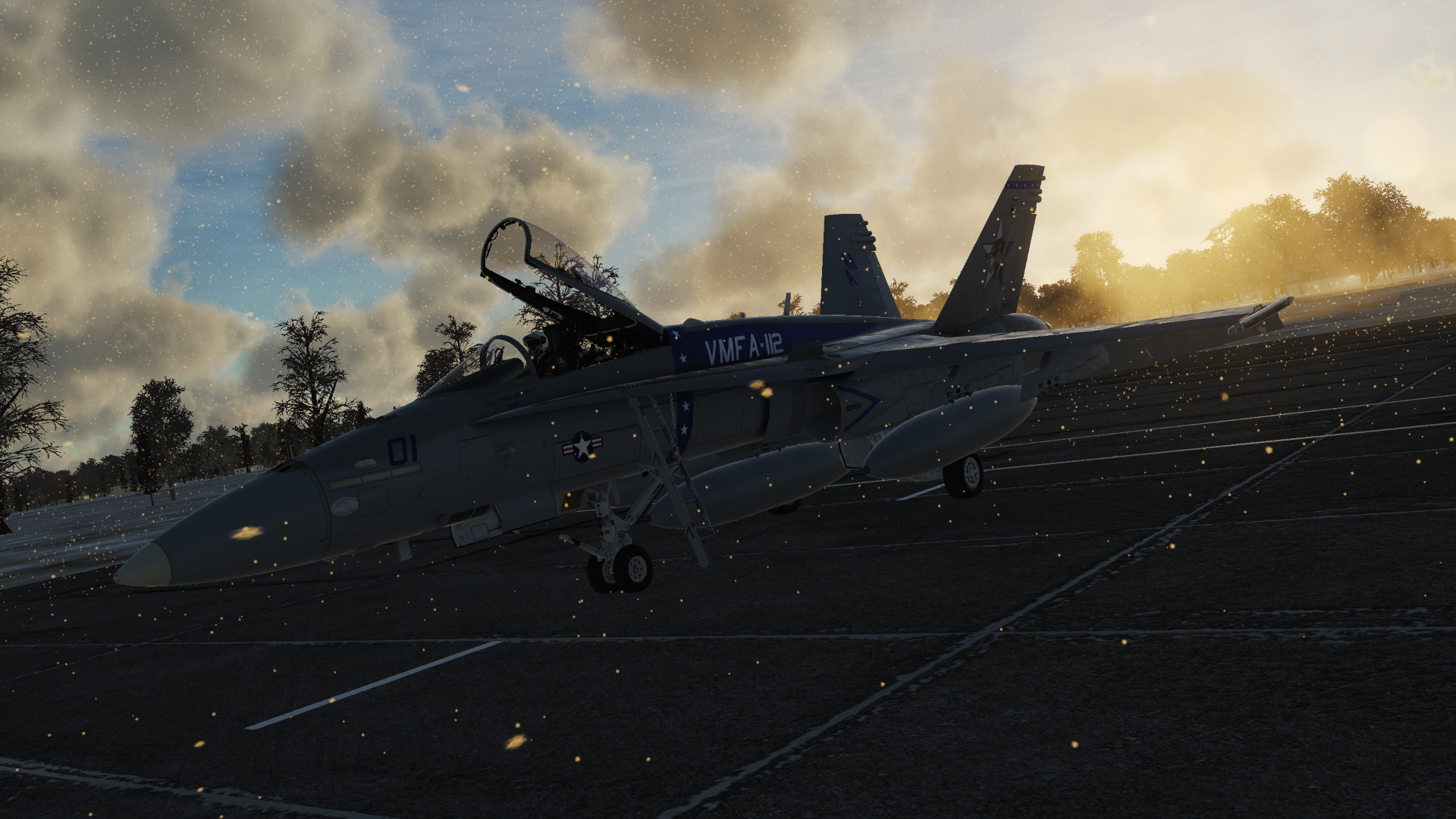 F/A-18C VMFA-112 Cowboys CAG 2019 *Updated*