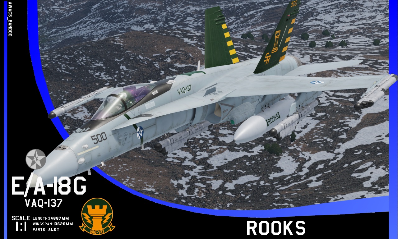 Ace Combat - Electronic Attack Squadron 137 "Rooks" E/A-18G