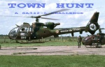 Town Hunt  \\ a SA 342-l Challenge //