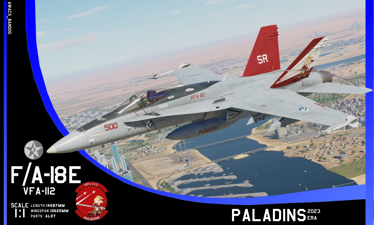 Ace Combat - VFA-112 'Paladins' 2023