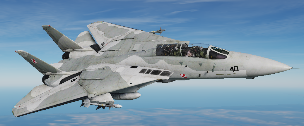 F-14 Polish Air Force livery (Fictional)