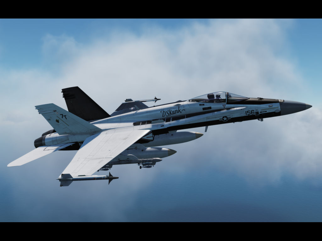 "Pax River NATC F-18A "D'Skunk" "