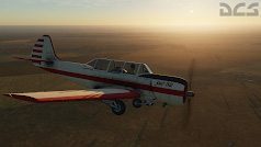 Hornet Pre-Purchase and Yak-52 Update