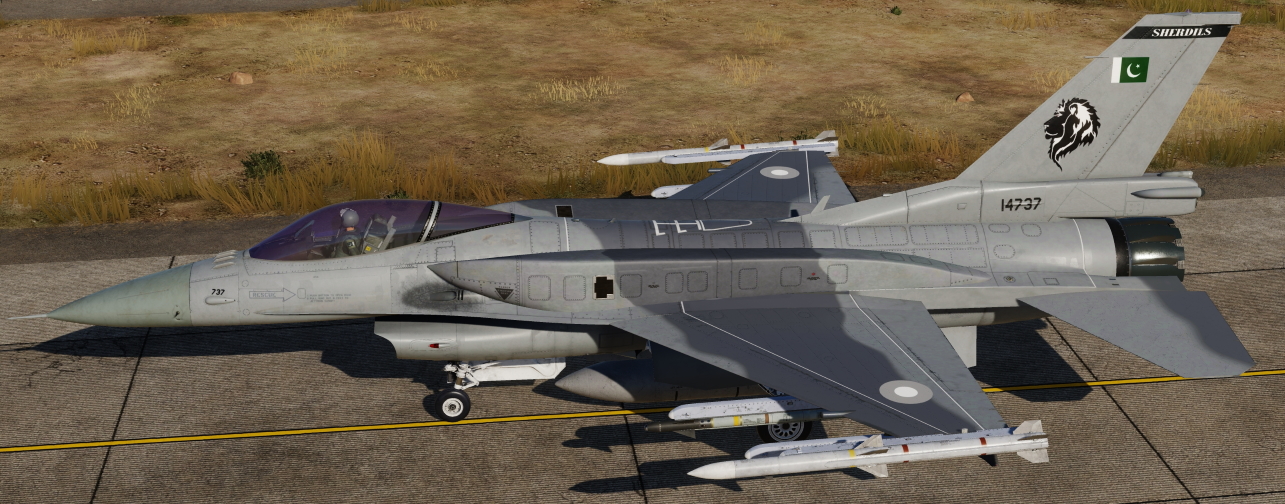 PAF Squadron No19 Sherdils (14737)