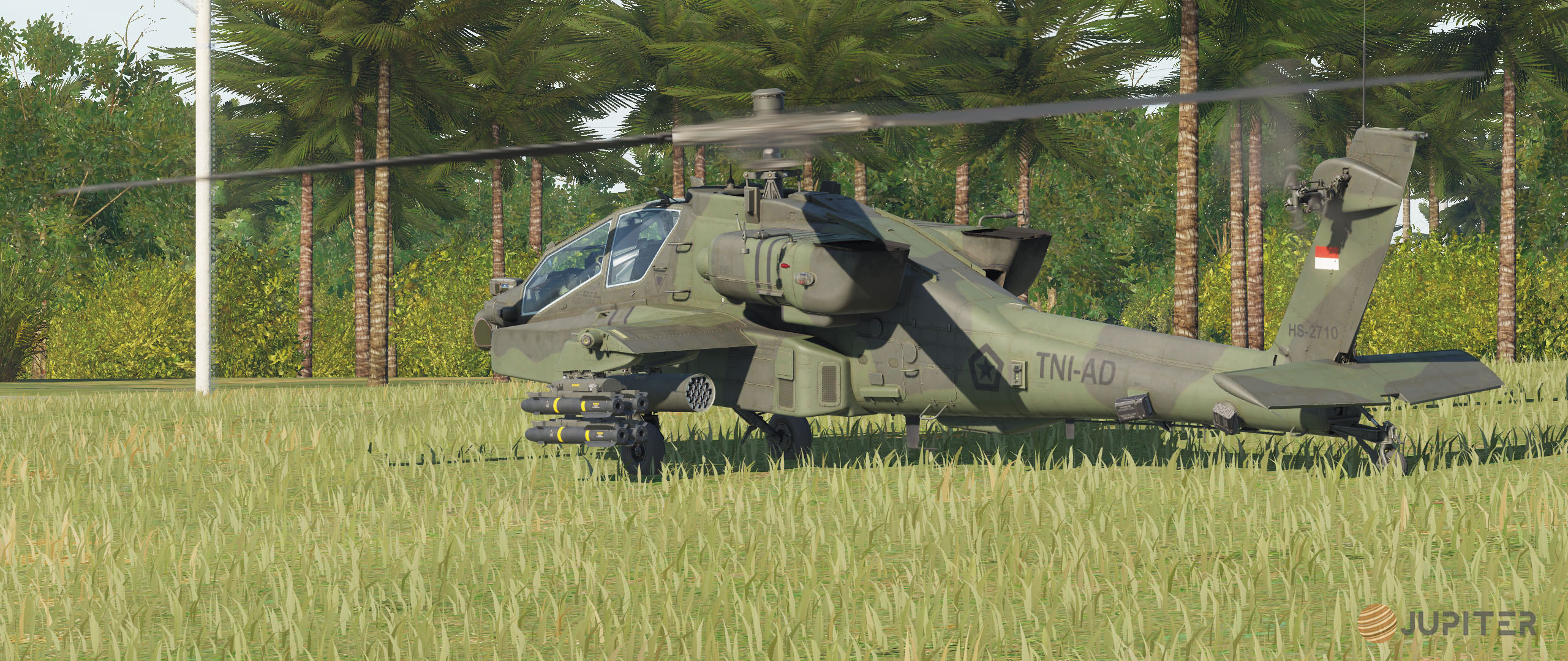 Indonesian Army - 11th Squadron/Serbu AH-64D