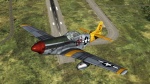 P-51 Skin "Marie"