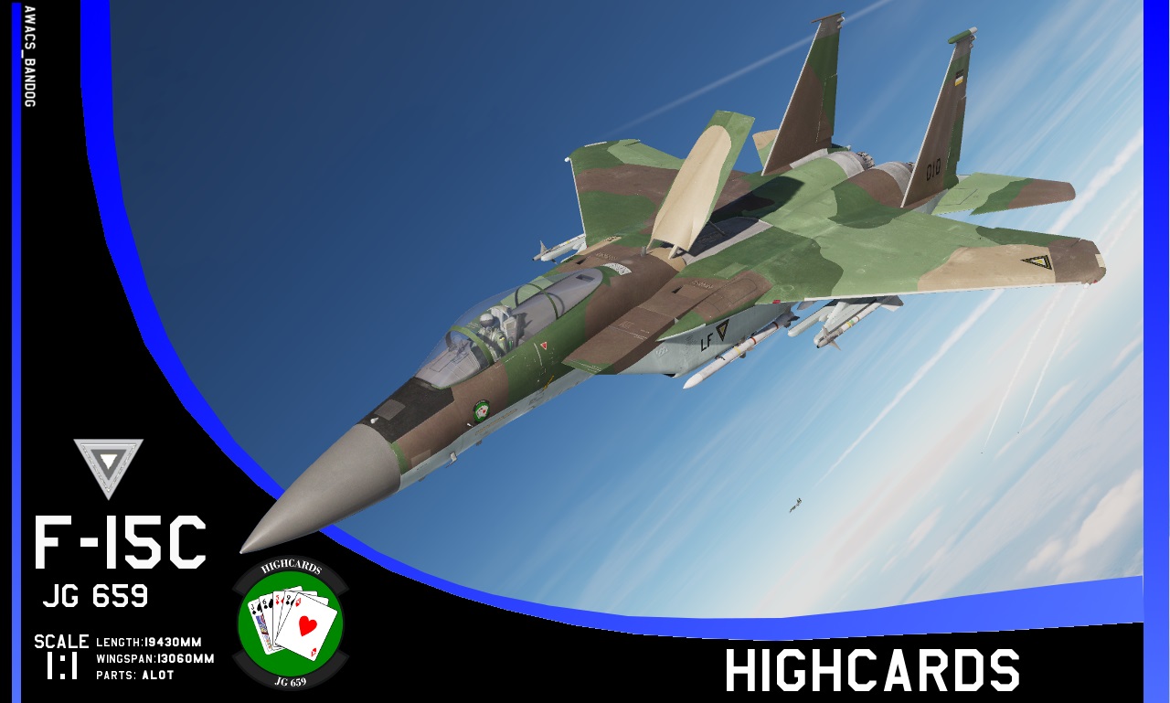 Ace Combat - Belkan Air Force Jagdgeschwader 659 "Highcards" F-15