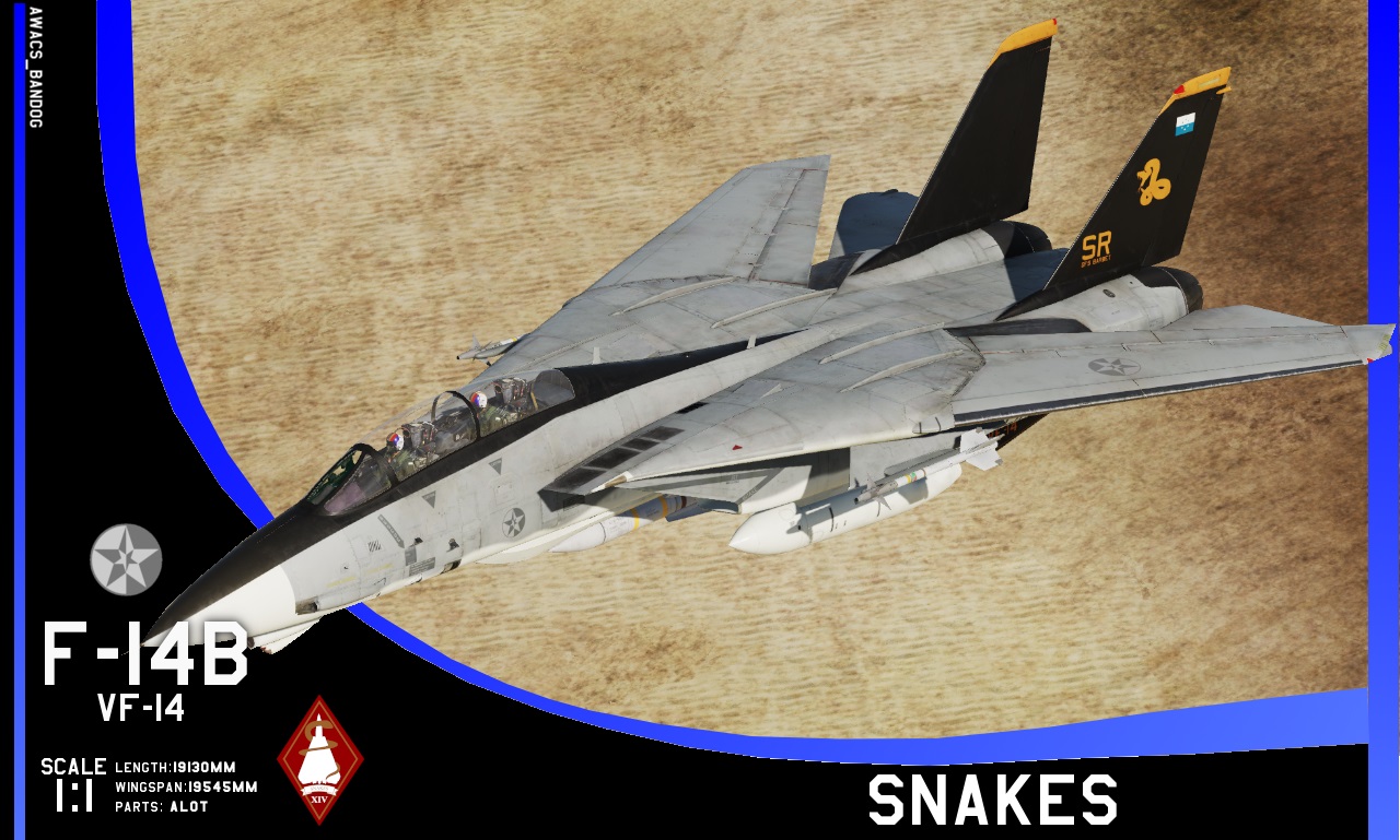 Ace Combat - Fighter Squadron 14 "Snakes"