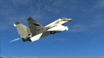 Mig-29AR Fuerza Aerea Argentina (mig-29s)