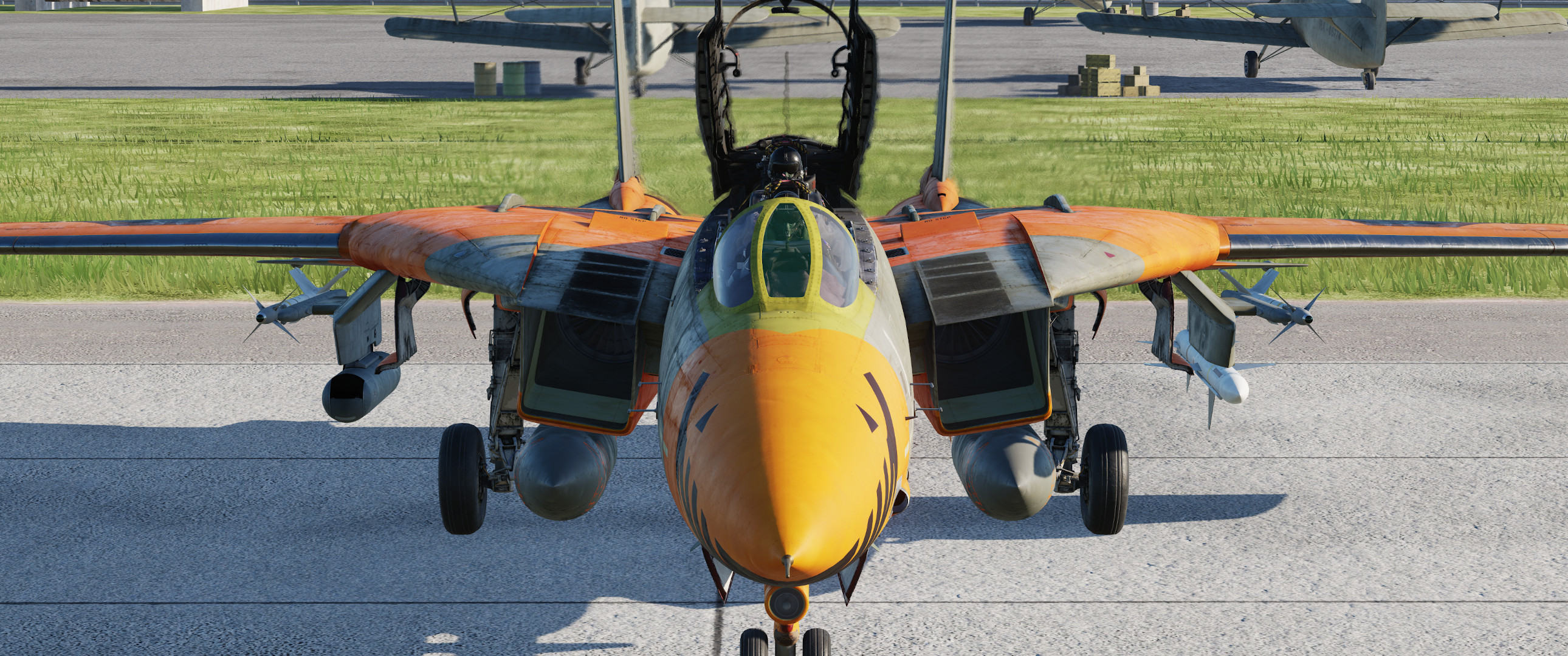 F-14B Ace Combat skin "Pumpkin" pt 1