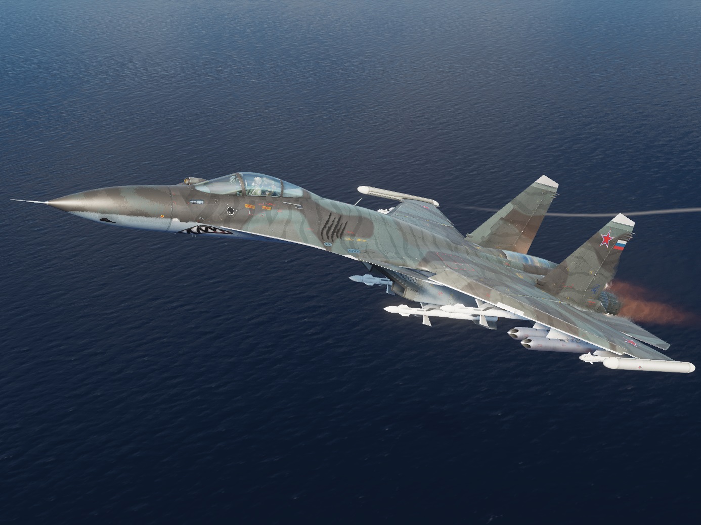 Su-33 SHARK SKIN