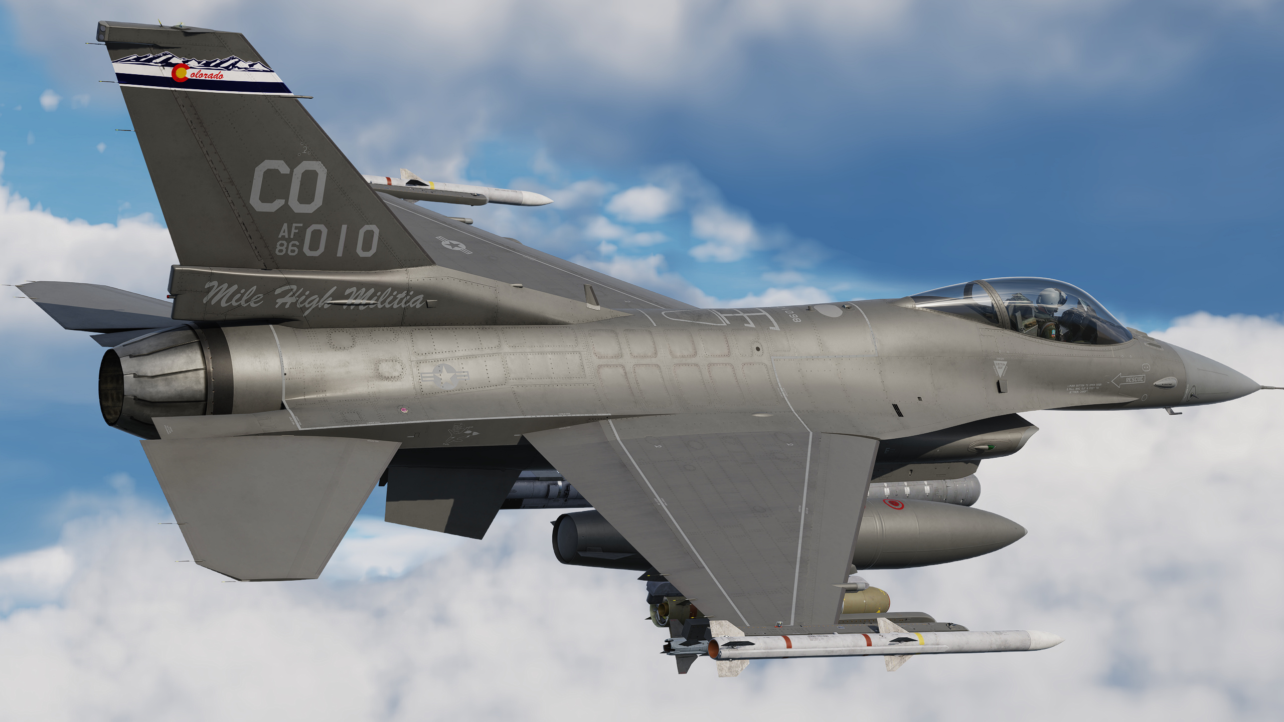 Have Cougar - 120th FS COANG - Color