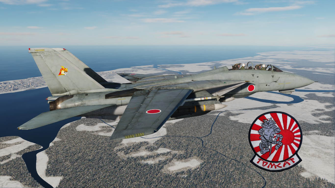 F14-J "Tomcat" JASDF 3rd TFS 