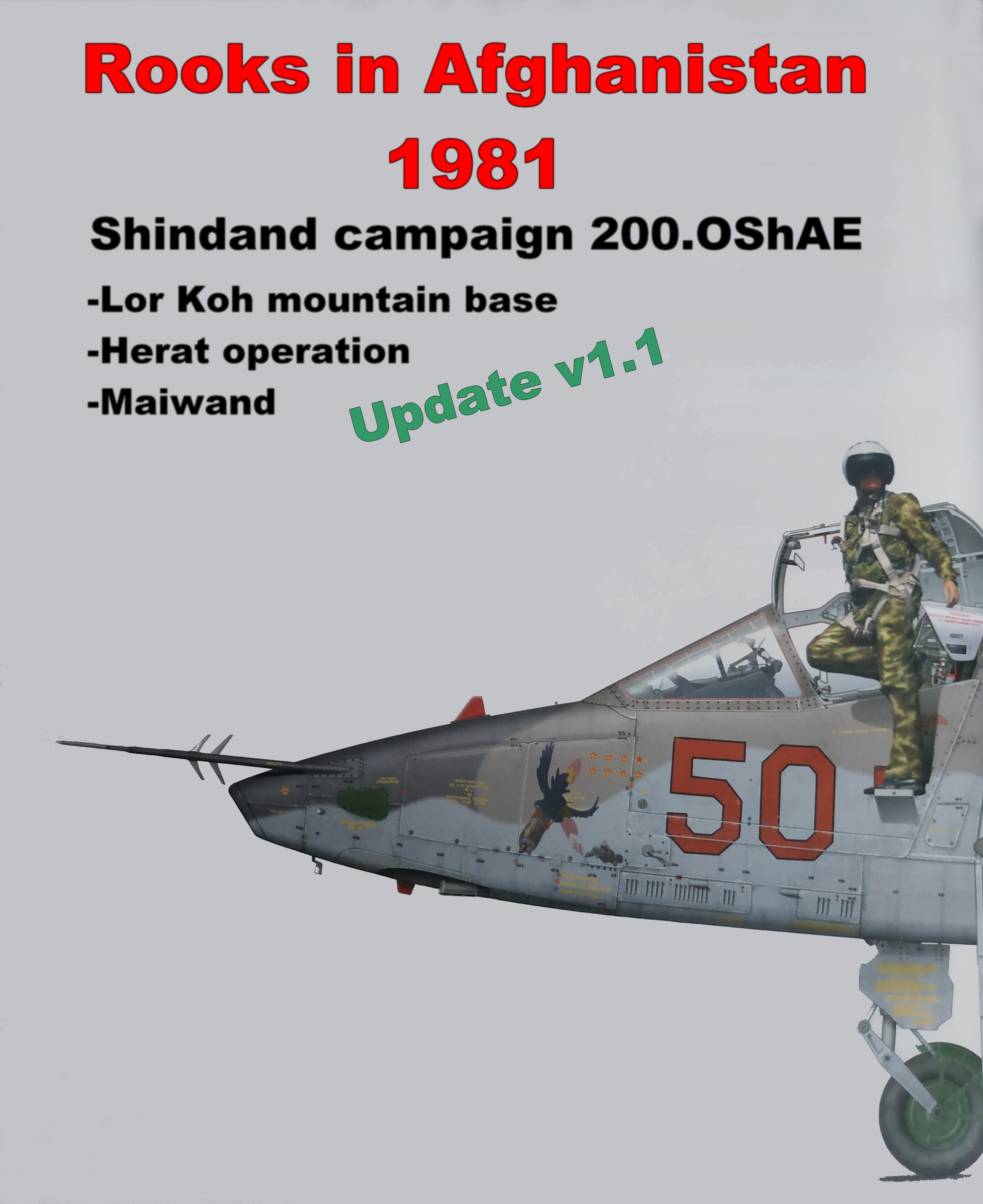 Rooks in Afghanistan 1981