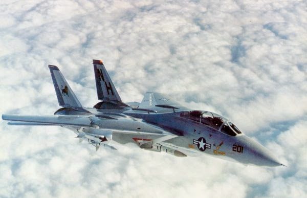 F-14A-90-GR BuNO 159859 - VF-213 Blacklions NH 200 + Full Package