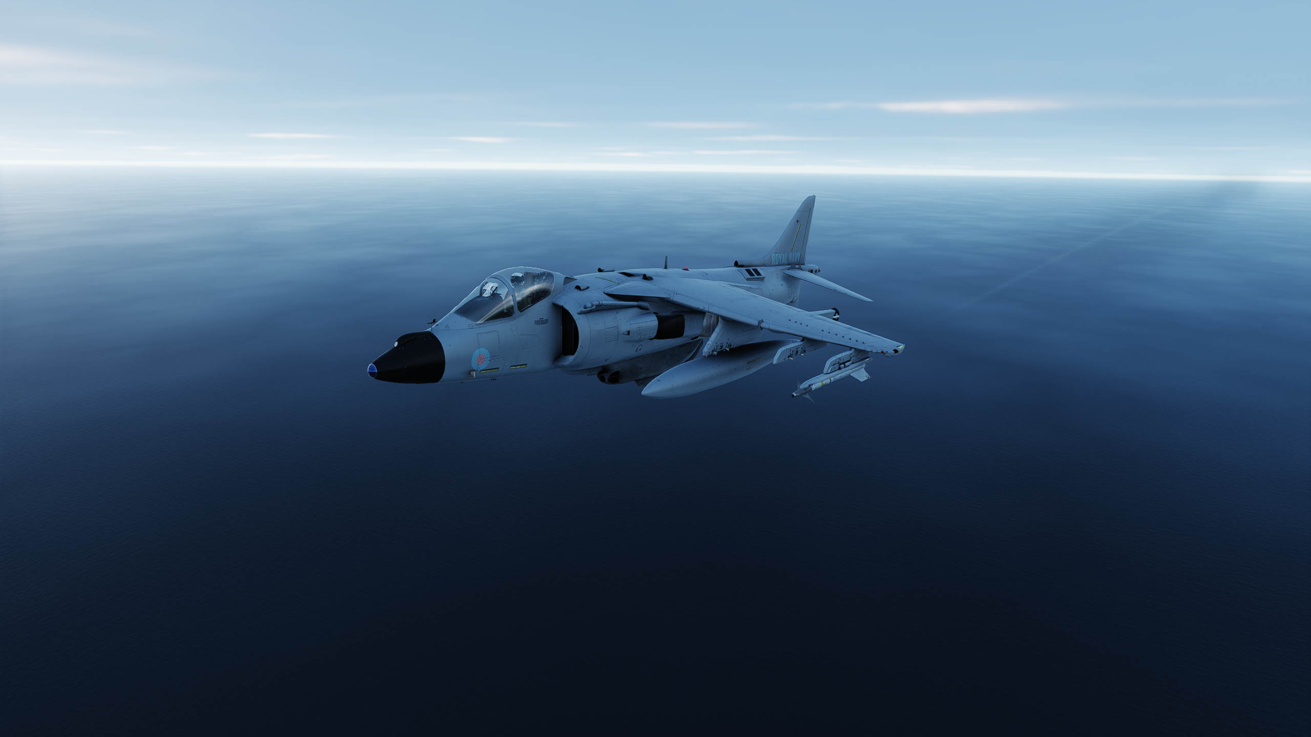 809 NAS FRS.1 Livery