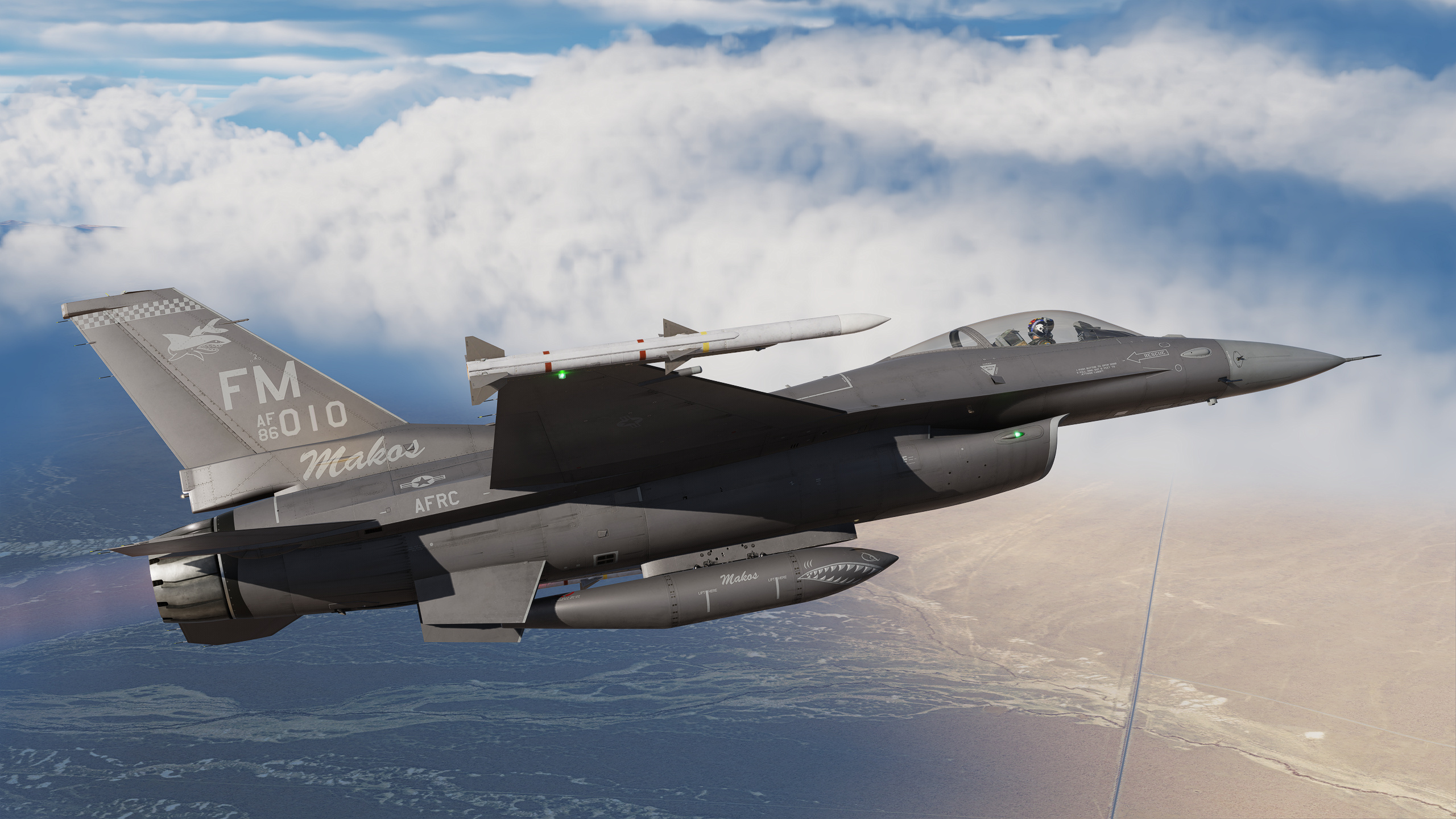  Have Makos - 93rd Fighter Squadron - Gray