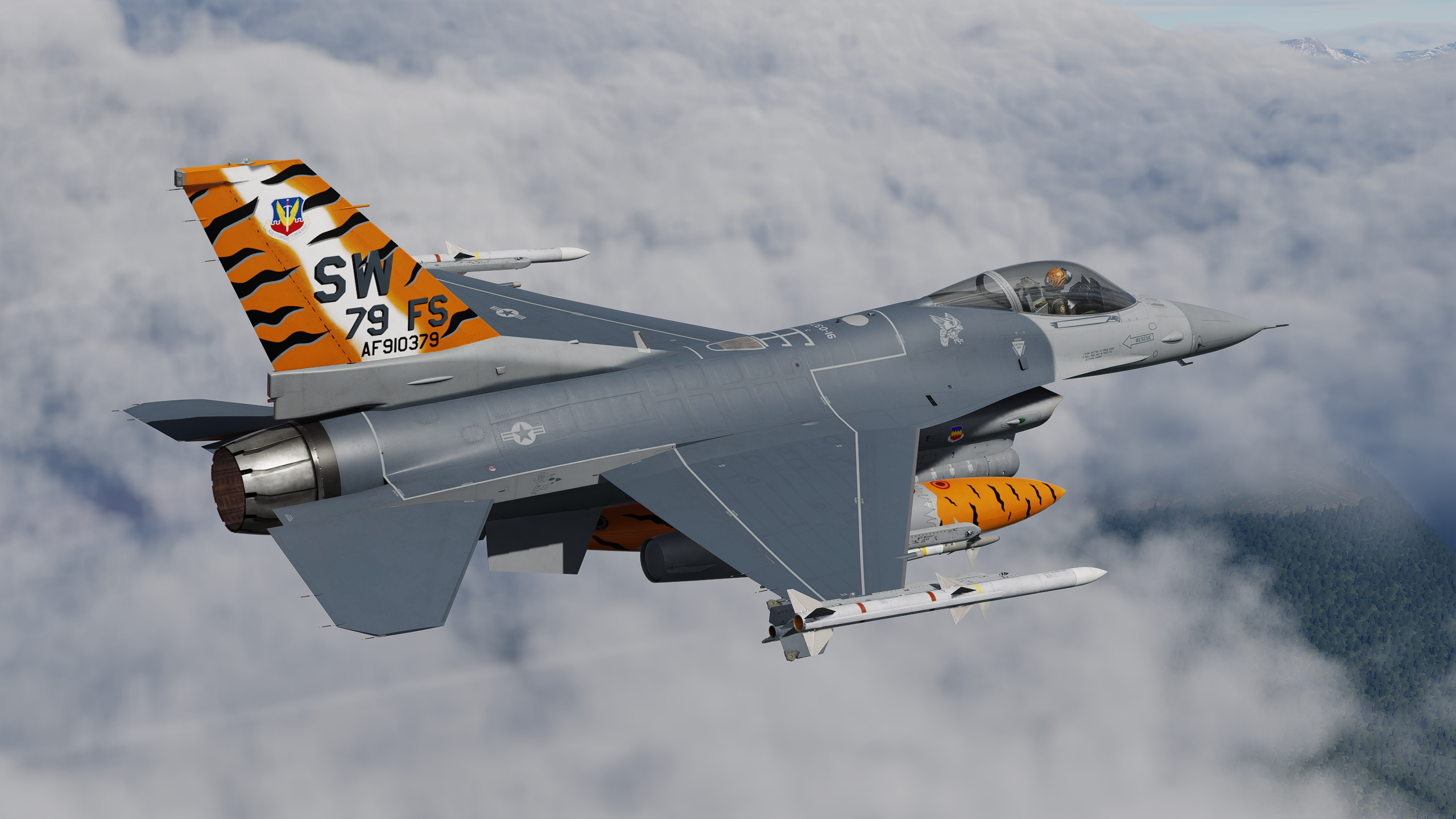 79th Tigers Flagship 91-0379 - 2005 Tiger Meet