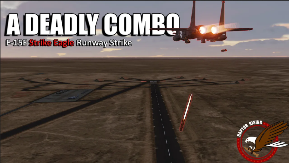 Mudhen Runway Strike