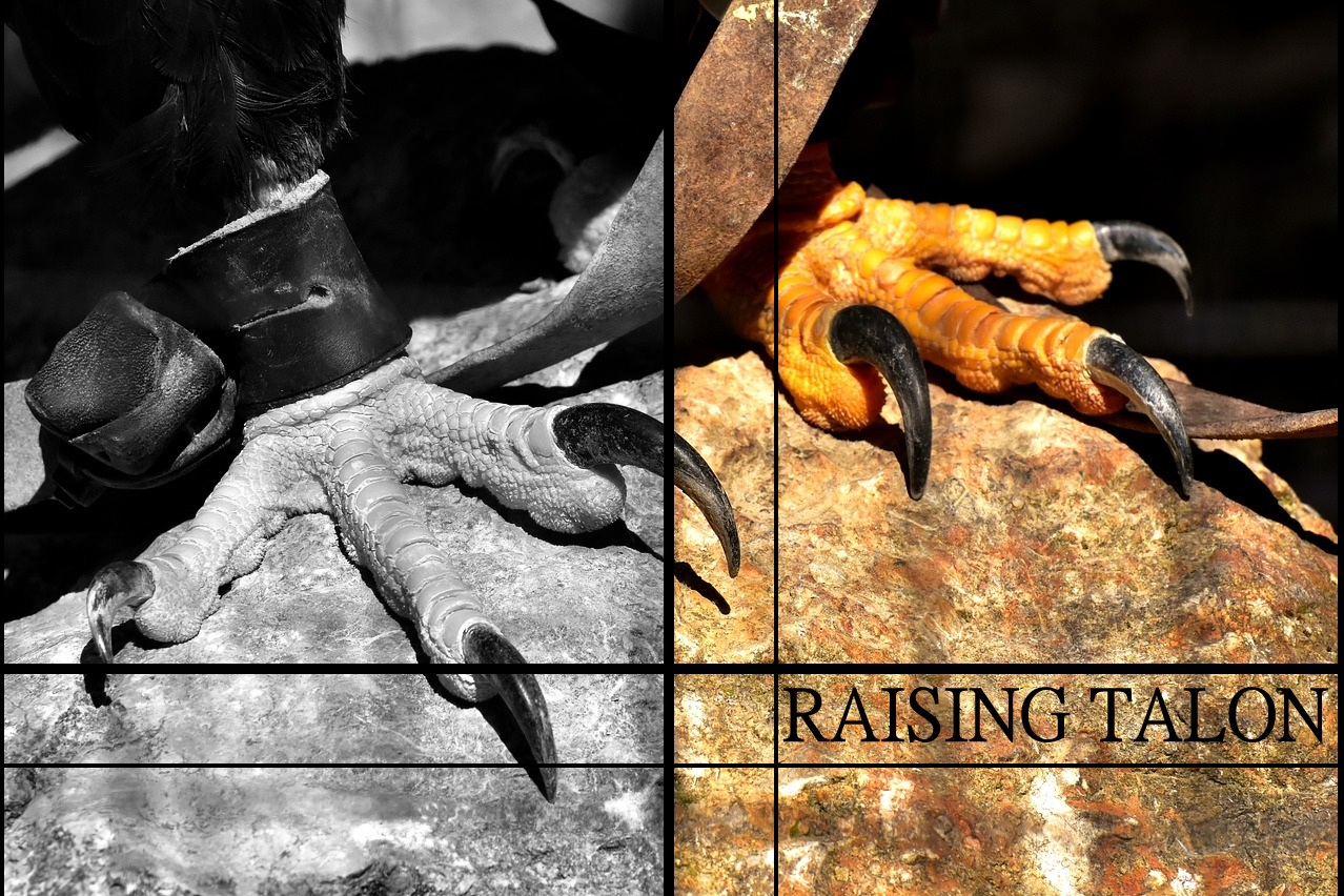 RAISING TALON